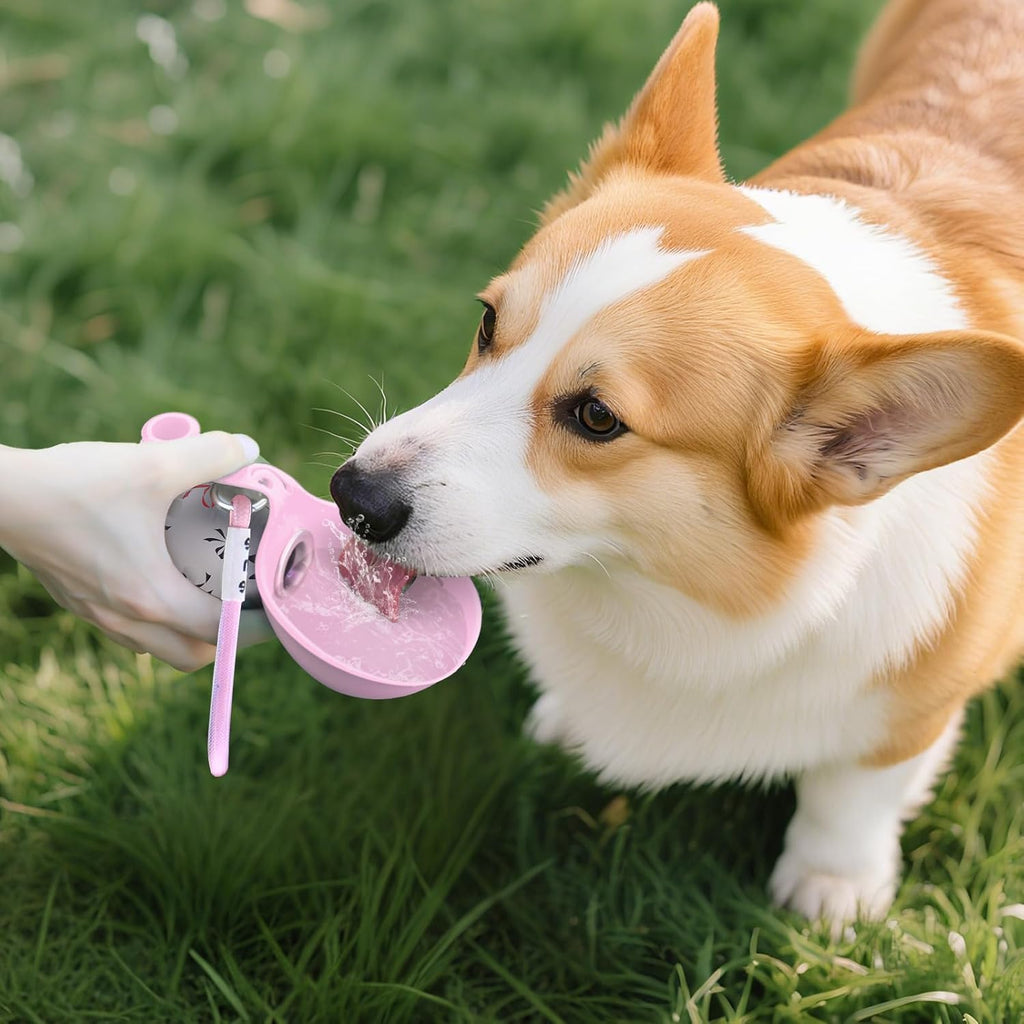 Portable Dog Water Bottle for Travel & Walks | PetHug